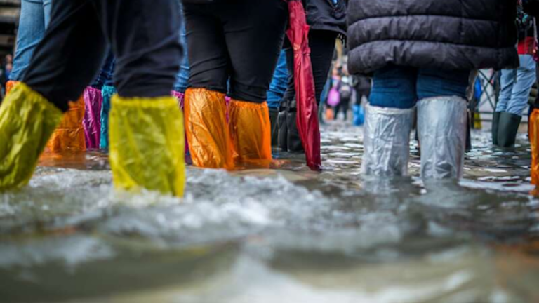 люди в резиновых сапогах стоят в воде | © Unsplash